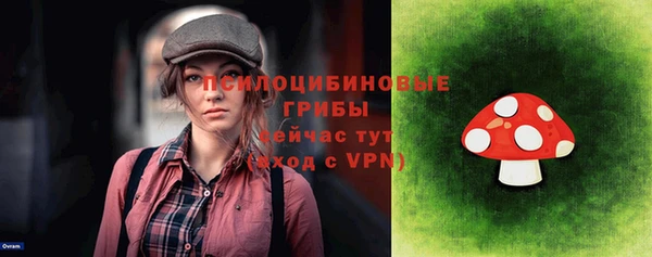 бошки Арсеньев