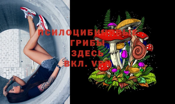 бошки Арсеньев