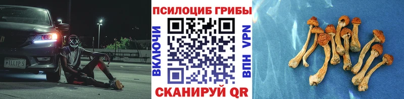 Псилоцибиновые грибы Psilocybe  Петушки 
